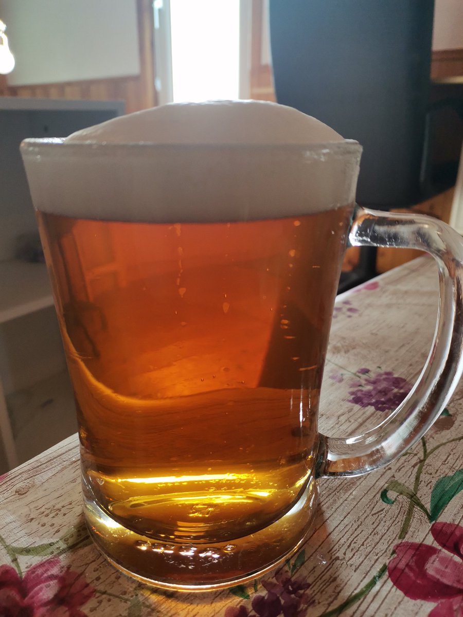 With10 years growing hops in the Maltcracker gardens the enjoyment is the same when we harvest and dry our hops and brew. Each year our Bohemian (Czech) Pils  using our Saaz hops is a special treat and for us and our friends. Naturally Clean clear and on-style after 4 weeks tlc.