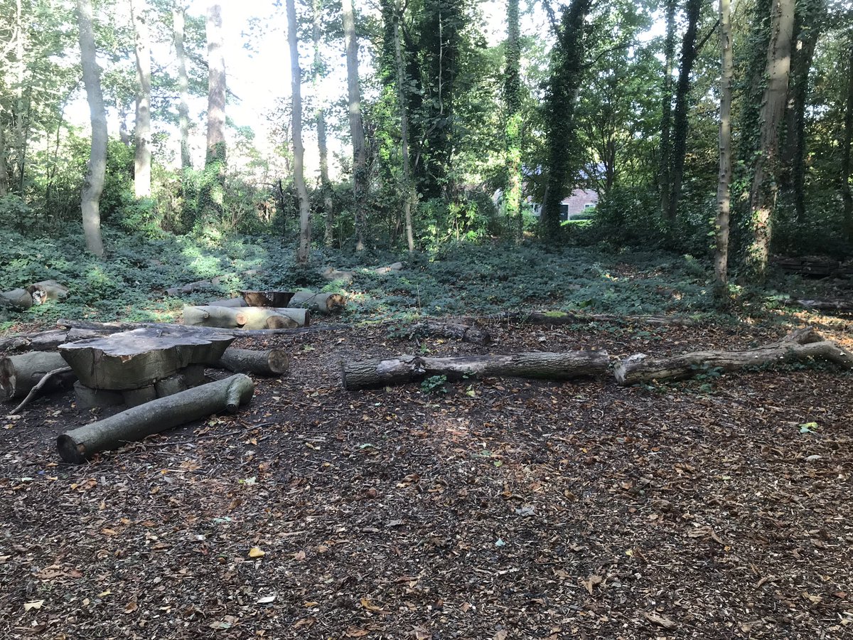 Deep in these woods at Lytham Hall l, it’s been reported that Prehistoric sightings has emerged. THIS THURSDAY 28th Help Ranger Daniels and Dee explore the woods hoping to find Lythams Dinosaur Egg #dinosaur #DinosaurEgg #lytham #stannes #fylde #blackpool #lancashire @LythamHall