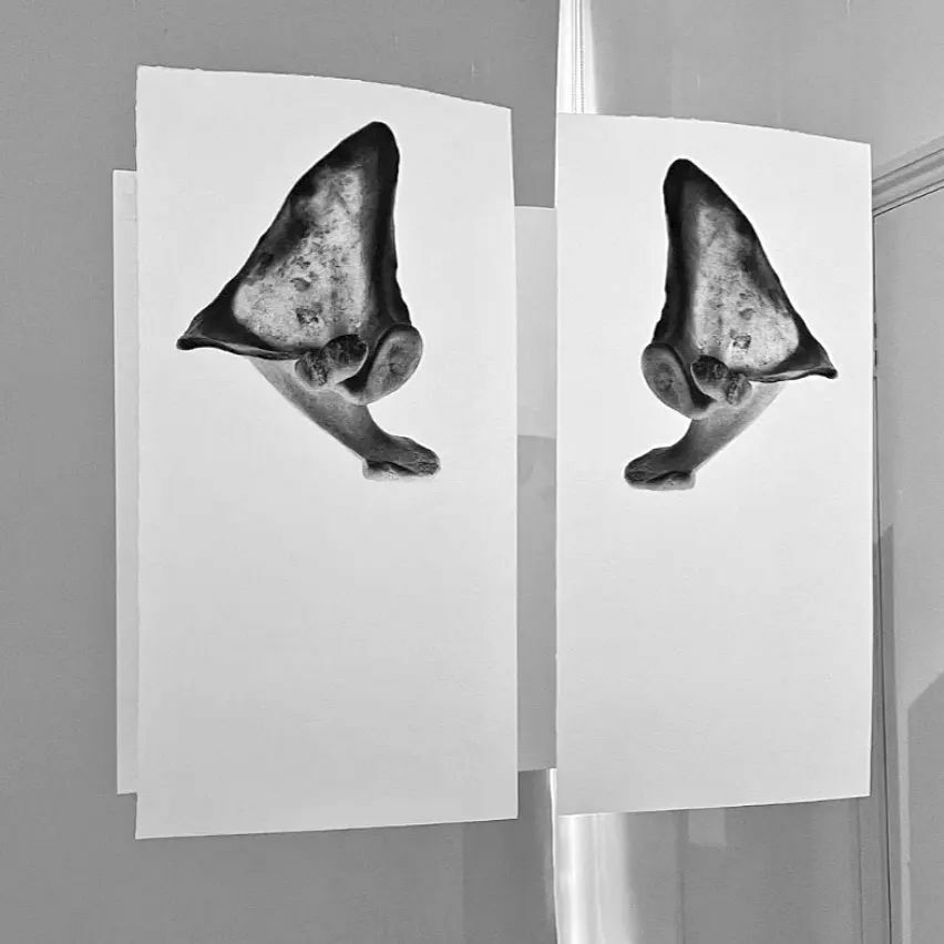 carolwyss's tweet photo. WINGS OF DESIRE
Currently @thelmahulbertgallery part of the @thelondongroup show 'In plain Sight' curated by @judithfineartphotography and Tim Craven.
#wingsofdesire #humanskeleton #etching #printinstallation #worksonpaper #flying #escapingthereality https://t.co/w8c9jUxgcG https://t.co/0rU2oFQGuQ