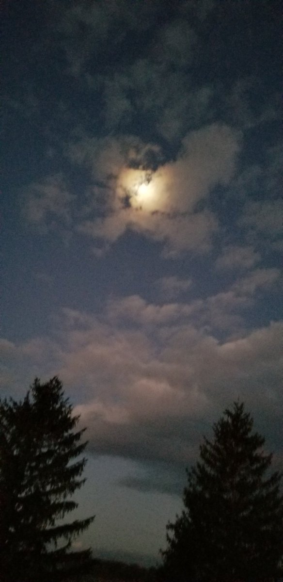 oldfarmgirlKA's tweet photo. #BreakingDay over 20 minutes from 7am on, now the clouds are hiding the big ol' full moon
To the farmers n ranchers who work in acres, I hope today is satisfying
The pow pow of rifles has my sidekick cowering
Another frosty morning but no crunch 😉 https://t.co/YqvG8hLnIs
