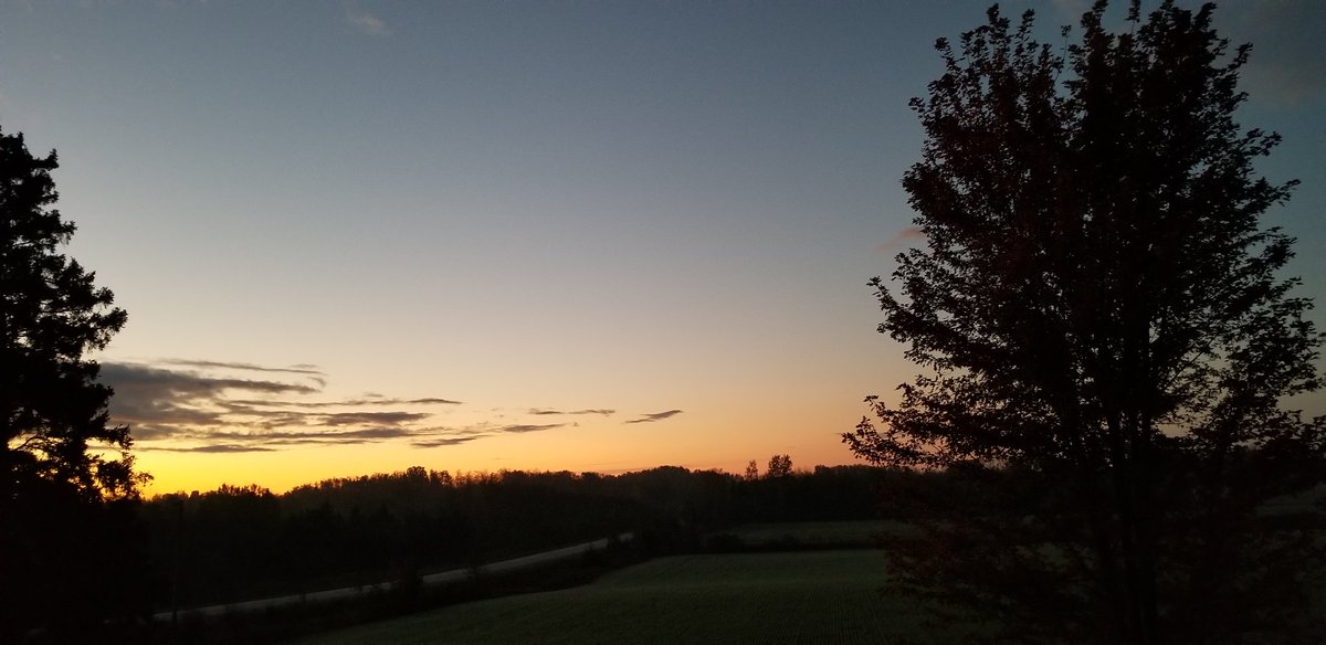 oldfarmgirlKA's tweet photo. #BreakingDay over 20 minutes from 7am on, now the clouds are hiding the big ol' full moon
To the farmers n ranchers who work in acres, I hope today is satisfying
The pow pow of rifles has my sidekick cowering
Another frosty morning but no crunch 😉 https://t.co/YqvG8hLnIs