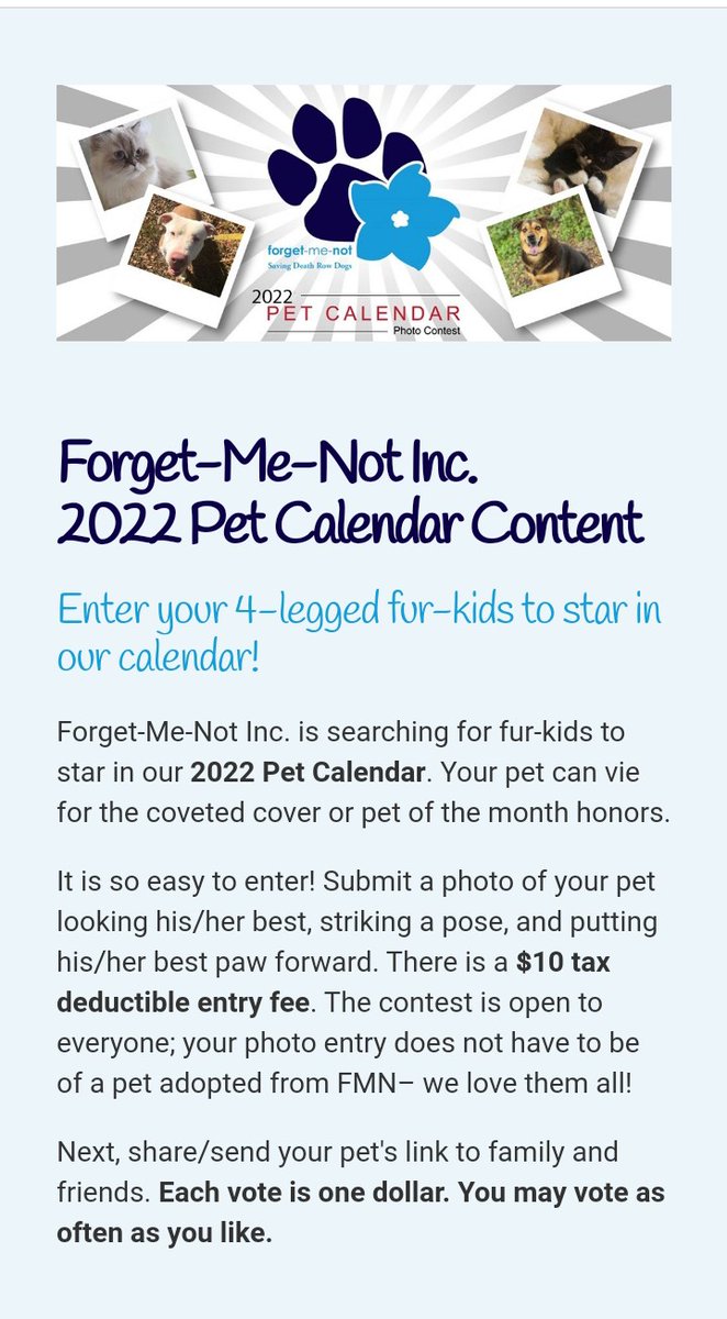 fmnrescue's tweet photo. Where are all the cat lovers? We love them all. Go to https://t.co/gyxcYdgGHk click on the calendar link and enter your pet for $10 donation. Snakes and ferrets  can join in the fun! https://t.co/A0L1Qmi52m