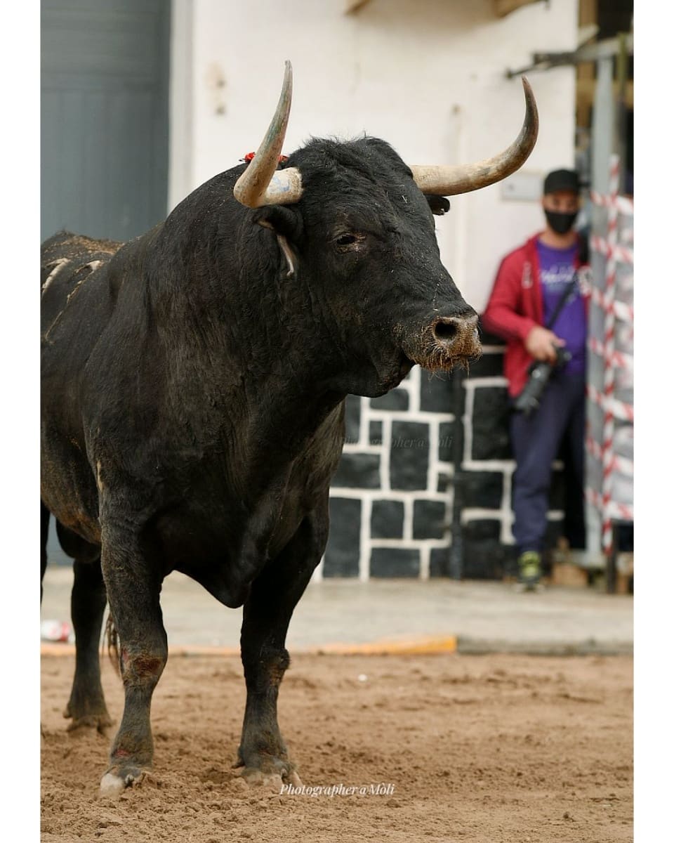 Casi ná, Cebaita... 
#sialboualcarrer