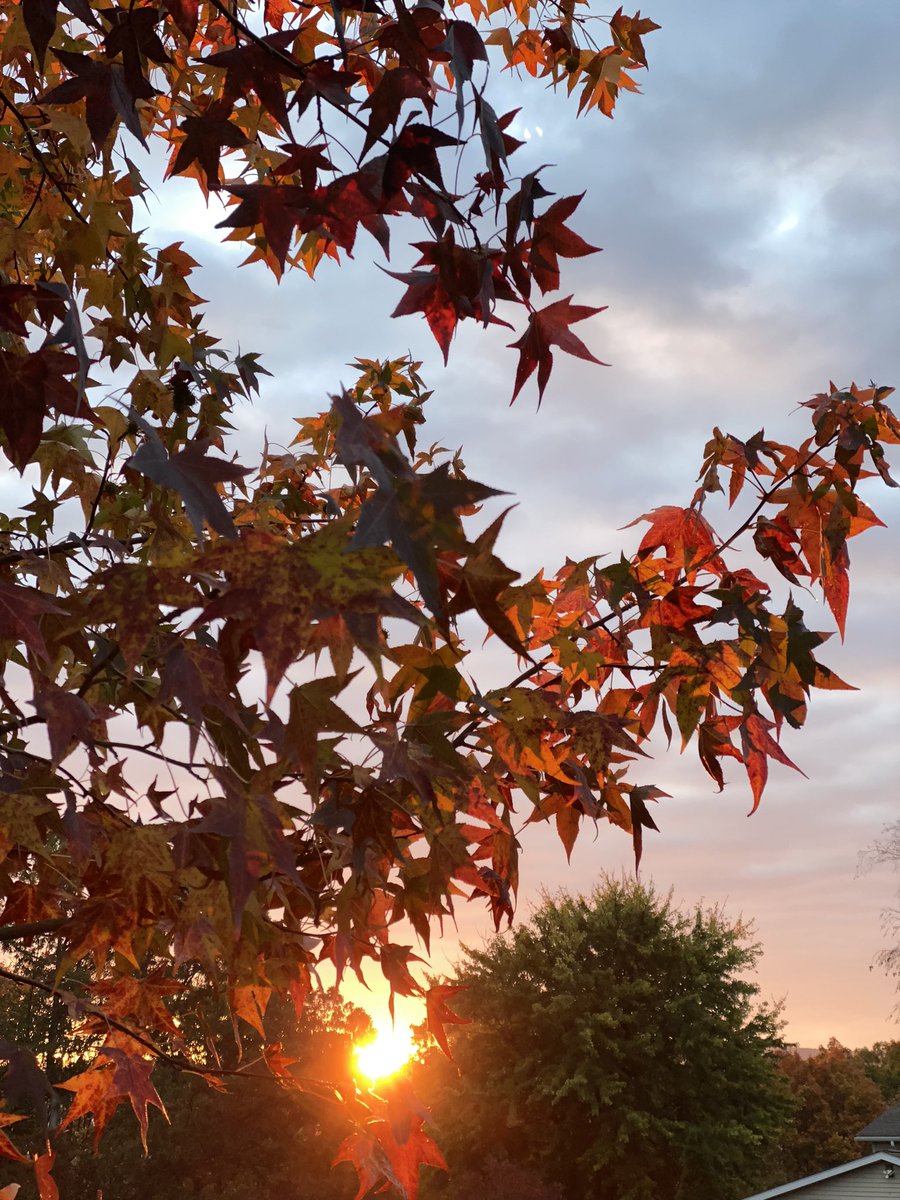 KevinHunsicker's tweet photo. The fall colors at Eastern PA sunrise. https://t.co/OmICT4uYVo
