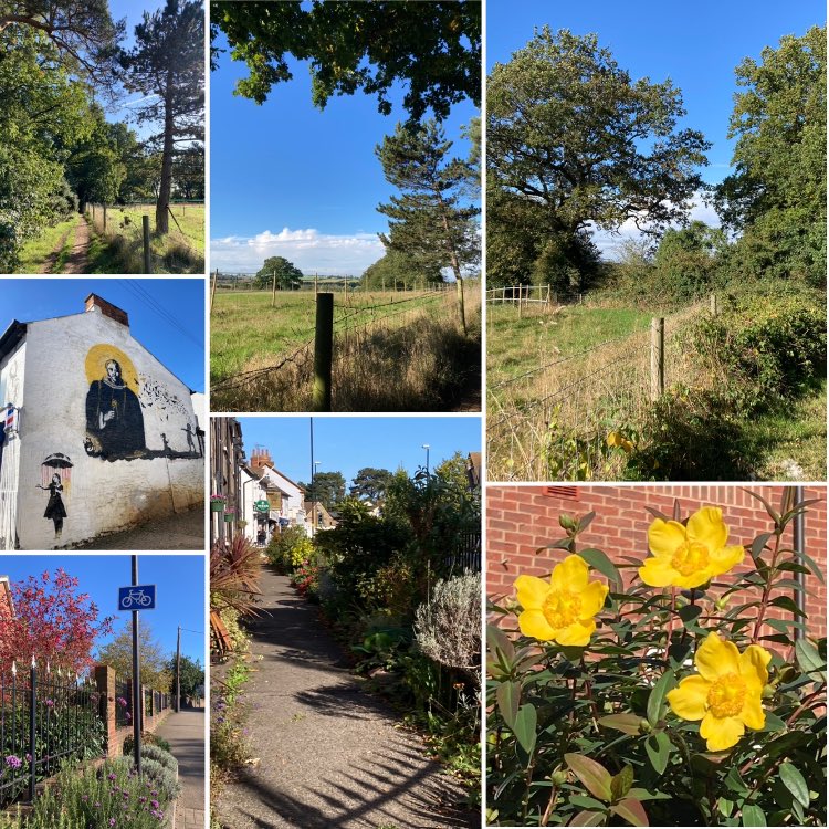 barbosavl's tweet photo. Some shots from my late morning run #running #scenicrun #scenicroute #NaturePhotography #nature #trees #woodland #urbanart #StreetArt #urbanscene #flowerphotography #sevenonsunday https://t.co/K6FW0mm6Sk