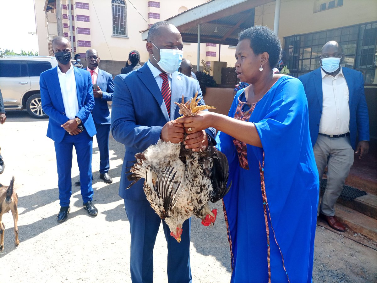 MathiasMpuuga's tweet photo. To you Mr President @HEBobiwine Acholi has sent you a goat, chicken and food. Humbled by the reception of the people of Acholi. #AccountabilityAndService https://t.co/MZcJrcgT2l