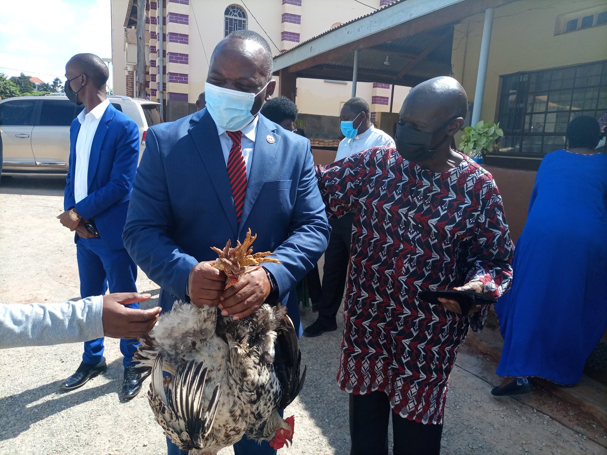 MathiasMpuuga's tweet photo. To you Mr President @HEBobiwine Acholi has sent you a goat, chicken and food. Humbled by the reception of the people of Acholi. #AccountabilityAndService https://t.co/MZcJrcgT2l