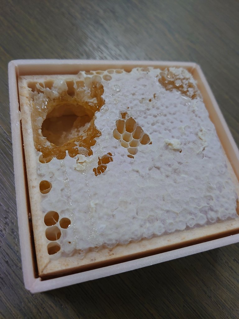 zubolalala's tweet photo. みつばちの巣。🍯😋
#Beenest #Beehive https://t.co/peLTyAgx3P