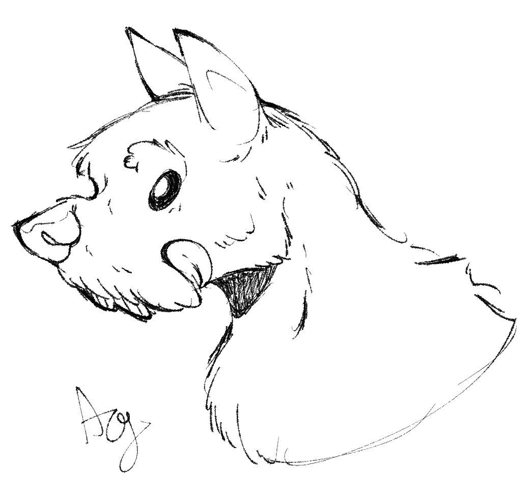 RhubarbRaptor's tweet photo. Sorry for the lack of activity. I drew a lot of dogs https://t.co/Gyfc6BxkIy