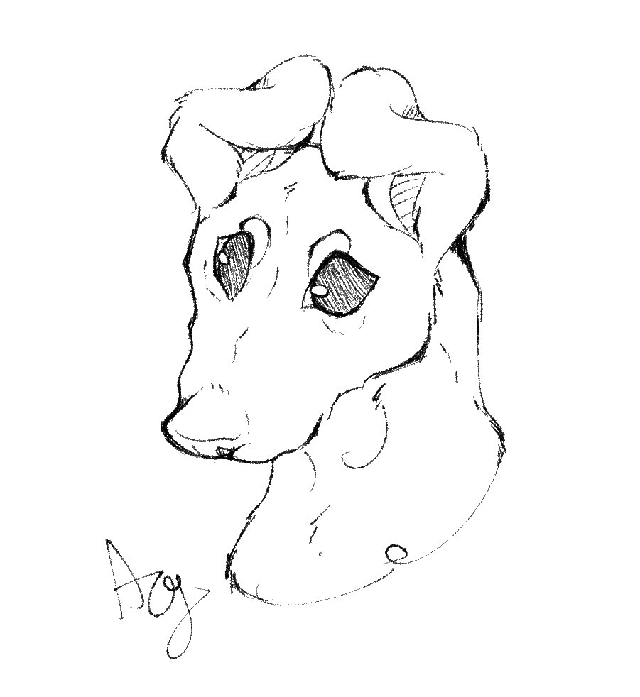 RhubarbRaptor's tweet photo. Sorry for the lack of activity. I drew a lot of dogs https://t.co/Gyfc6BxkIy