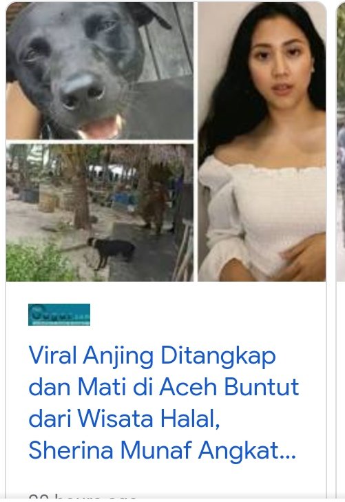 triajaaa's tweet photo. Anjing gak ada salah bisa mati demi wisata halal.. Sementara perkosaan marak.. Munafik biadab! 😠 https://t.co/E5Ge8ZCpo3 https://t.co/DZ6xpYgJIz