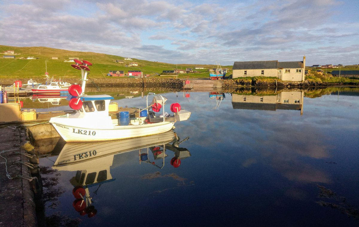 Medziotojas's tweet photo. As the nights start drawing in, here's a throwback to 6th June taken at 8 o'clock in the evening on a leisurely stroll not far from our house
#Vidlin #Shetland https://t.co/vEcjiA4fxy