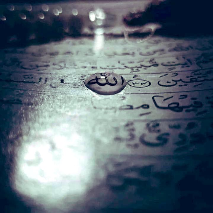 وہ جو چاہے تو کیا نہیں ممکن
وہ نہ چاہے تو کیا کرے کوئی؟_____