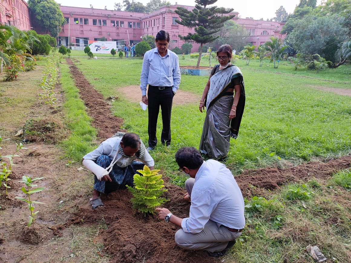EastHostel's tweet photo. An initiative of plantation drive has been conducted inside our East hostel campus on 21st Oct 2021. Sj. Manoranjan Panigrahi sir, Chief Commissioner of Income Tax, has personally facilitated this entire event. 
(1)

#100YearsofEast https://t.co/pQl0tbeaWi