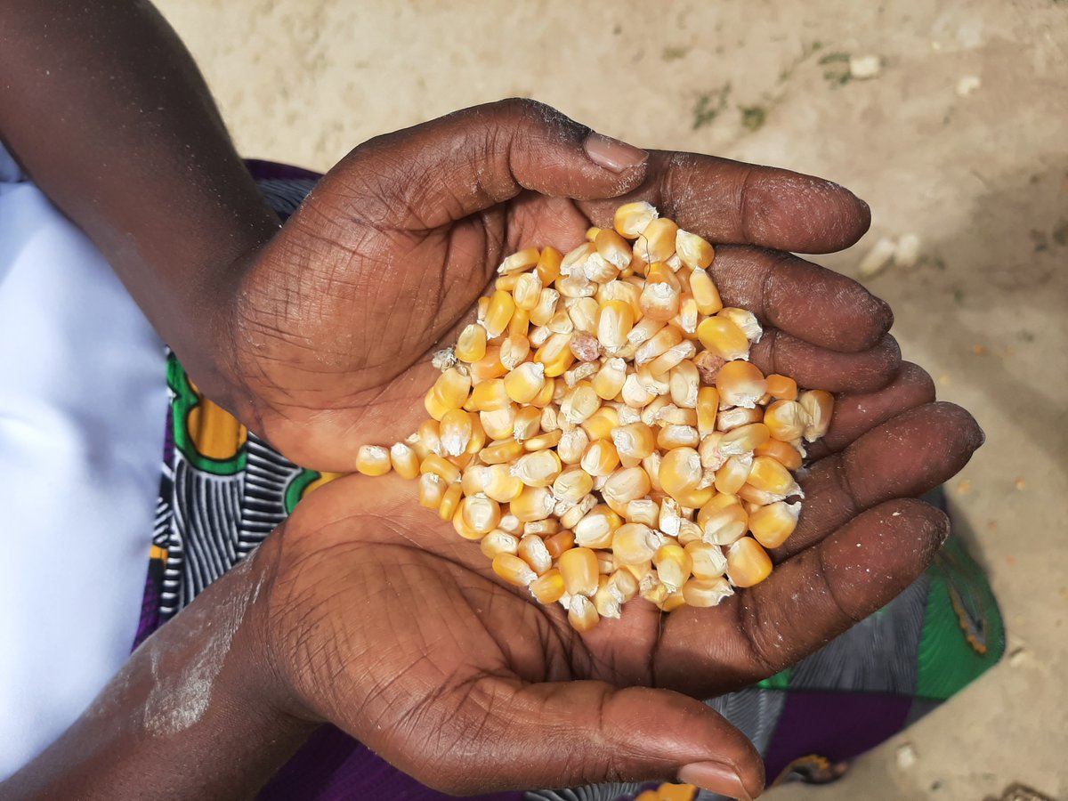 Oggi è la #GiornataMissionariaMondiale sono felice ed onorata di poter dare anche io il mio piccolo contributo con il magnifico team di Missio Invest