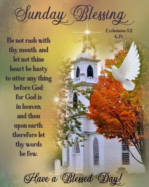 deborah_saffer's tweet photo. Good morning All. Happy Sunday. Just up for #meditation It’s Simply a #SelfCare day after all the hoopla. Raining here so should be pleasant #sleeping background music 🎶 I Hope Everyone has a Truly Blessed Day And Much Unconditional Love Always 🧡🍁🧡#sundayvibes #sickbutblessed https://t.co/EyAqohQYKe