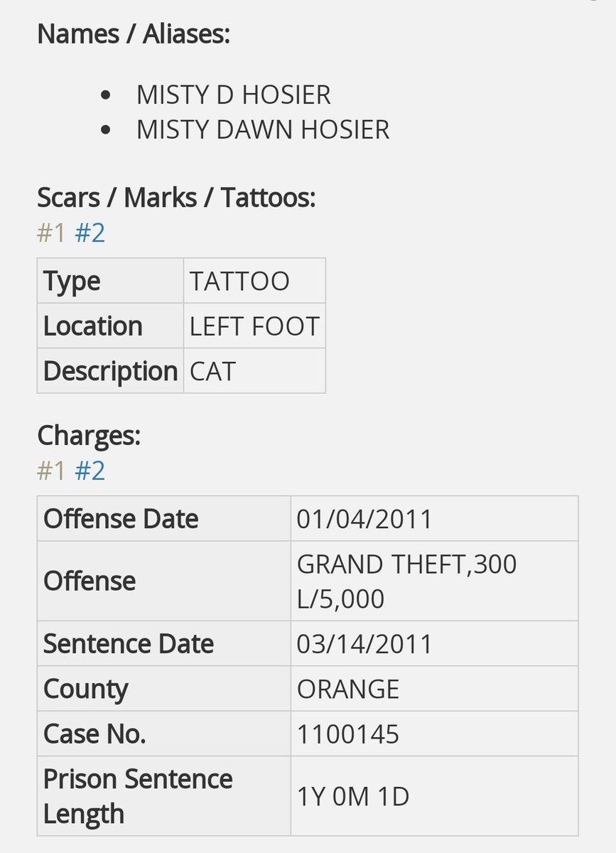Bullhorn Betty tweet media