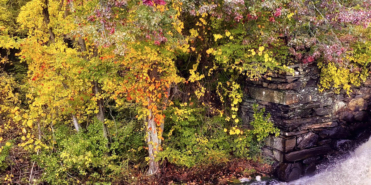 CaptBilboTweets's tweet photo. @StormHour #OctoberColors  #NewEngland #NaturesBeauty #RhodeIsland https://t.co/fPKVt3Oxox