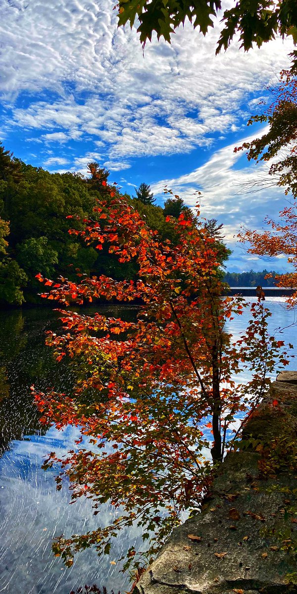 CaptBilboTweets's tweet photo. @StormHour #OctoberColors  #NewEngland #NaturesBeauty #RhodeIsland https://t.co/fPKVt3Oxox