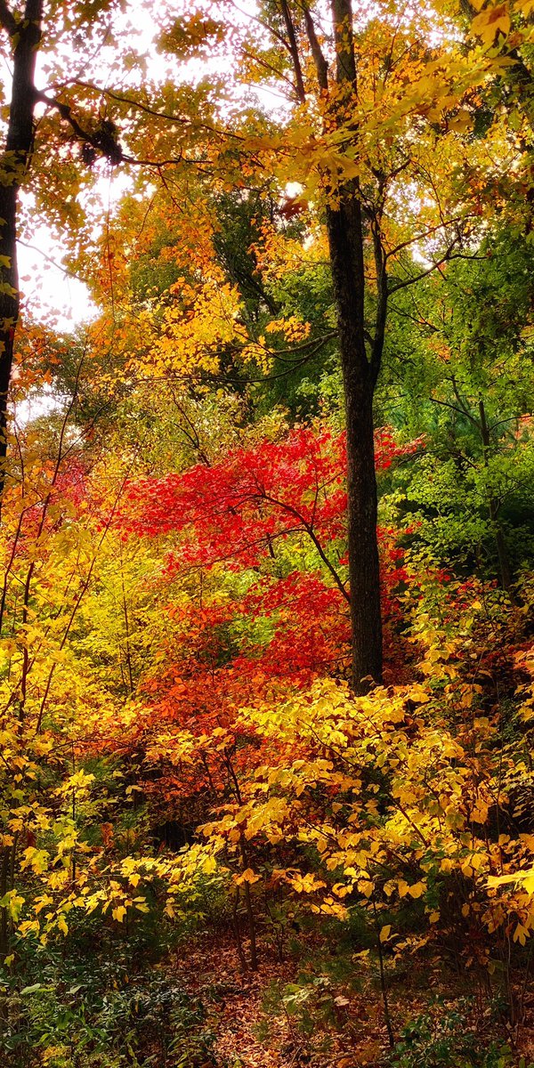 CaptBilboTweets's tweet photo. @StormHour #OctoberColors  #NewEngland #NaturesBeauty #RhodeIsland https://t.co/fPKVt3Oxox