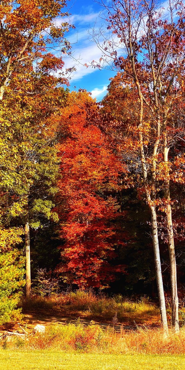 CaptBilboTweets's tweet photo. @StormHour #OctoberColors  #NewEngland #NaturesBeauty #RhodeIsland https://t.co/fPKVt3Oxox