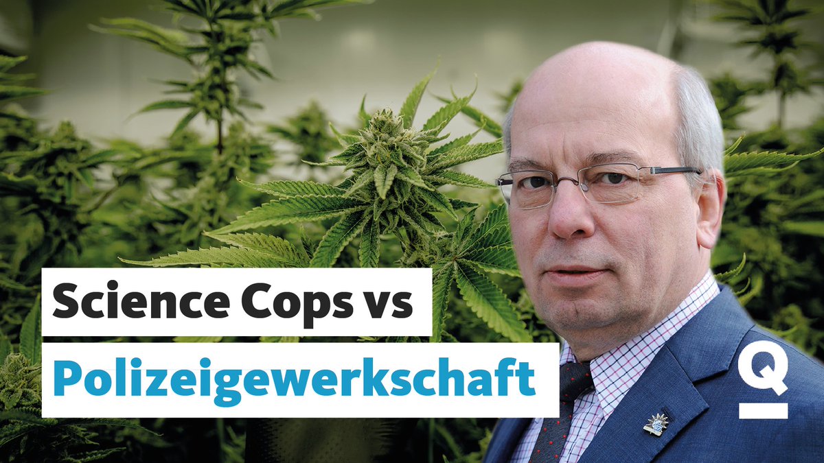 quarkswdr's tweet image. "Gefährliche Einstiegsdroge! Mehr Autounfälle durch Bekiffte!" Führende Polizeigewerkschafter halten überhaupt nichts von einer Cannabis-Legalisierung. Aber sind die Bedenken begründet? Der wissenschaftliche Faktencheck im Podcast #ScienceCops: quarks.de/podcast/quarks…