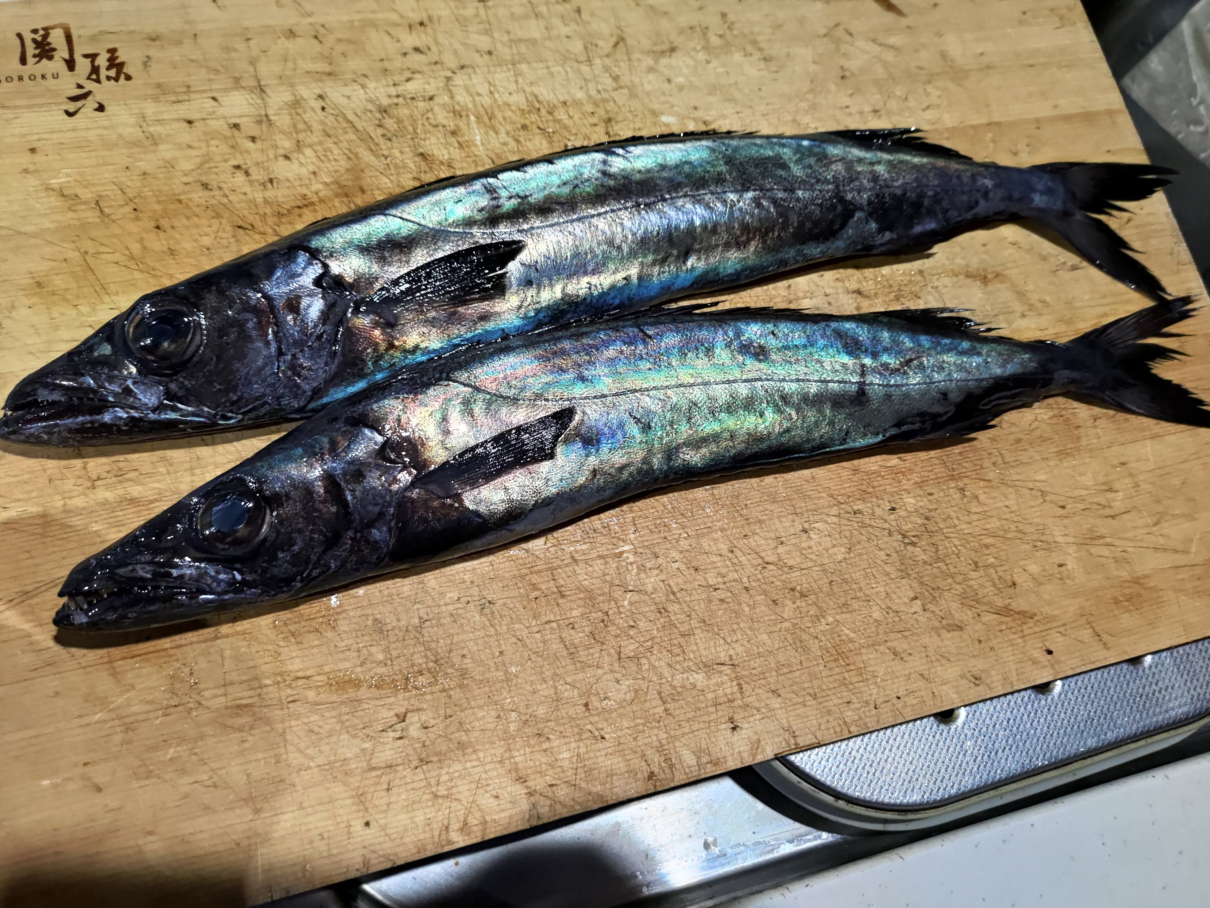 夢海 567魚種食べた人 たくさんのいいね Rtありがとうございます こちらはクロシビカマスという魚です カマスと付きますが カマスとは少し違った仲間になります 皮の中に骨がありますが 骨切りなどして食べられるとても美味しい魚です T