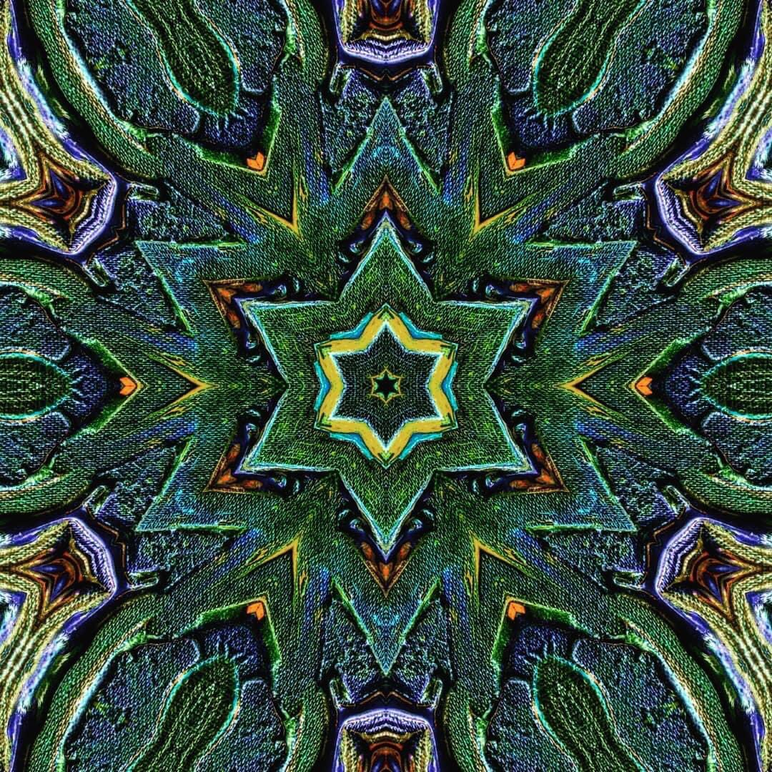 TEHABITATS's tweet photo. #NFTCommunity #nakshatra #nftindia #artist #nftartist #kalamint #NFTGlobal #Binance #Crypto #Cryptopunk #cosmictakeover https://t.co/mPAVqjjitw