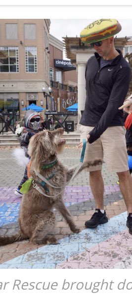 MrEricFeeney's tweet photo. Barkley in #BlueBackSquare! We had a wonderful time at the #WeHa #HalloweenStroll. Thanks for the photo op @RonniZNewton. https://t.co/iFLDrEQyLI https://t.co/aoRTd9eE3y