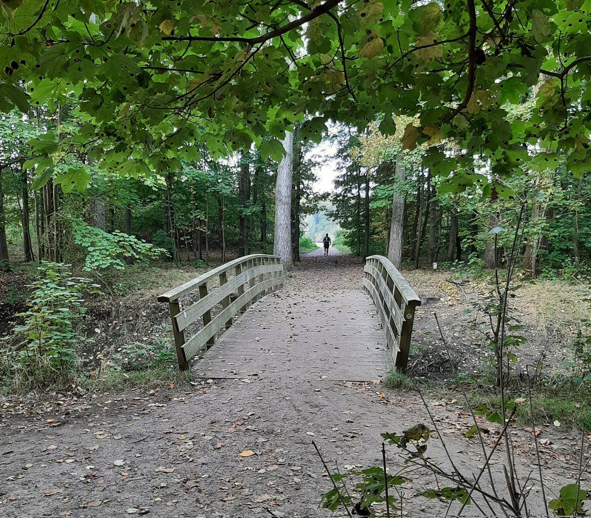 MarjoleinePaets's tweet photo. #wandeling #postiljon #zuiderheide #Anna'sHoevePark #Anna'sBerg #DeLeeuwenkuil #GooisNatuurreservaat #Postiljonheide #Laren #Hilversum https://t.co/OK8yCXjG9j