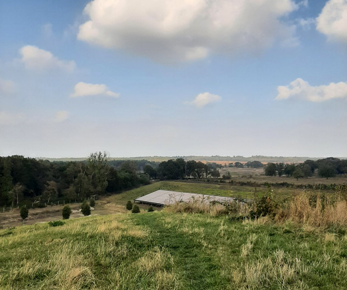 MarjoleinePaets's tweet photo. #wandeling #postiljon #zuiderheide #Anna'sHoevePark #Anna'sBerg #DeLeeuwenkuil #GooisNatuurreservaat #Postiljonheide #Laren #Hilversum https://t.co/OK8yCXjG9j