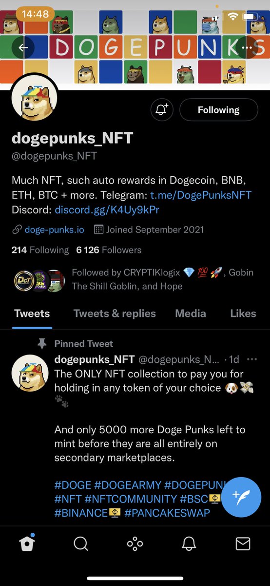 Teknian's tweet photo. @GobinOfShill @dogepunks_NFT https://t.co/vBZYya35ow