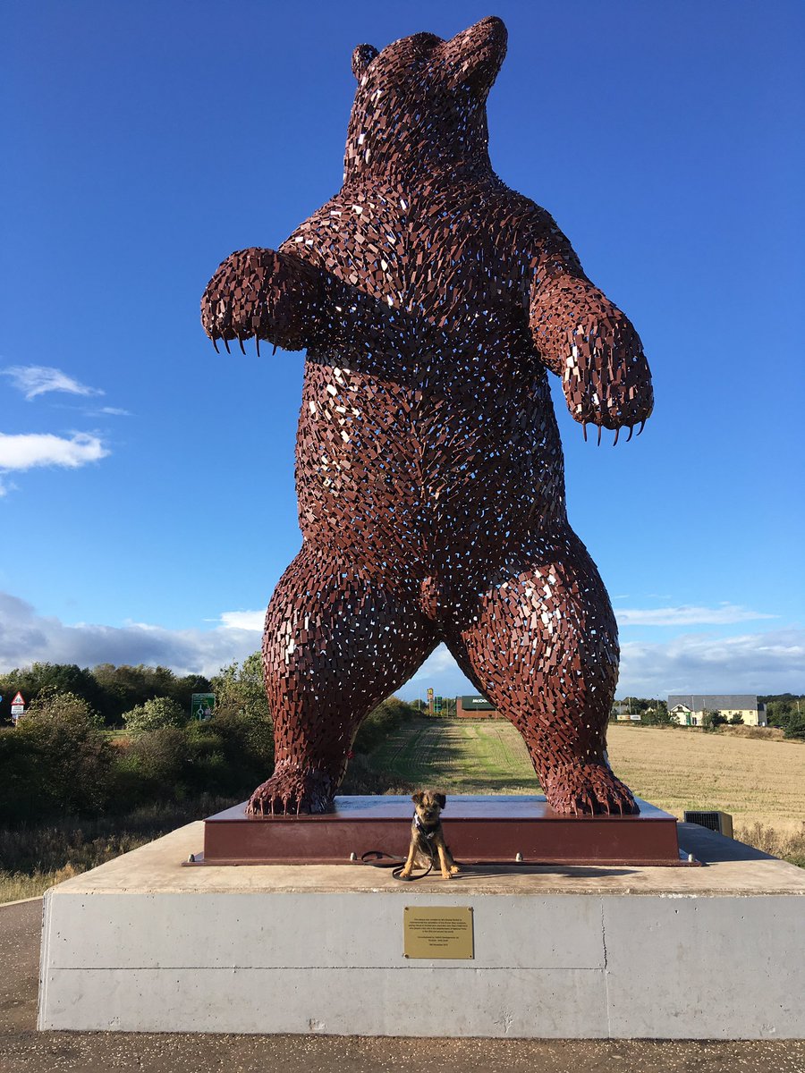 MrSebBT's tweet photo. What bear? #bravebt #btposse https://t.co/HXlGUulcGw