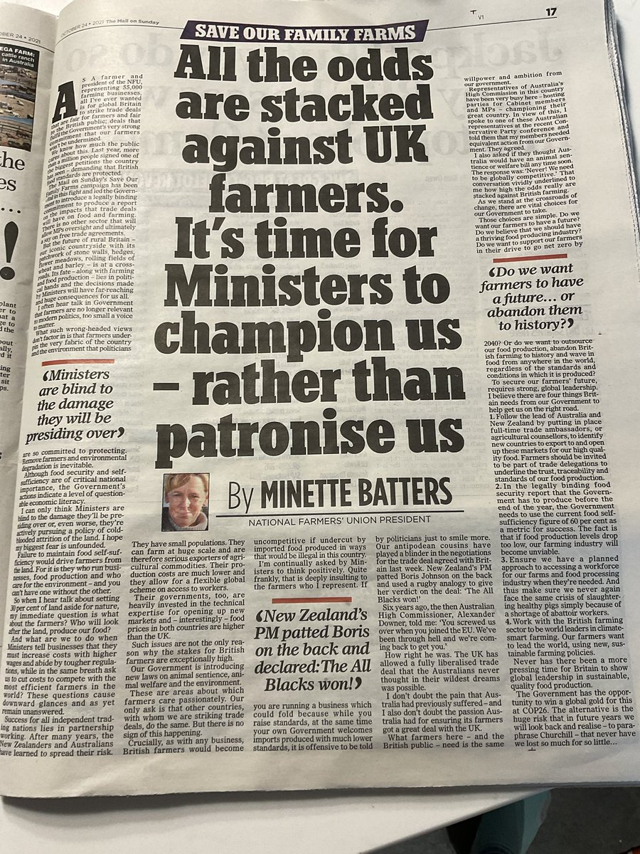 minette batters tweet media