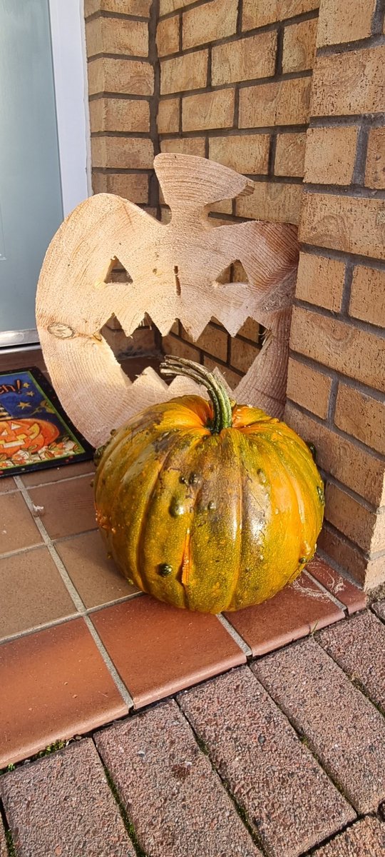 MrsMurphy07's tweet photo. @MauchlineC We haven't carved one yet but Mollie picked this spooky looking pumpkin when we went to the patch today 🎃 https://t.co/SLg6DhYYaB
