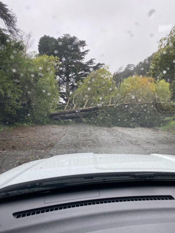 San Francisco Recreation and Park Department on Twitter "Stow Lake