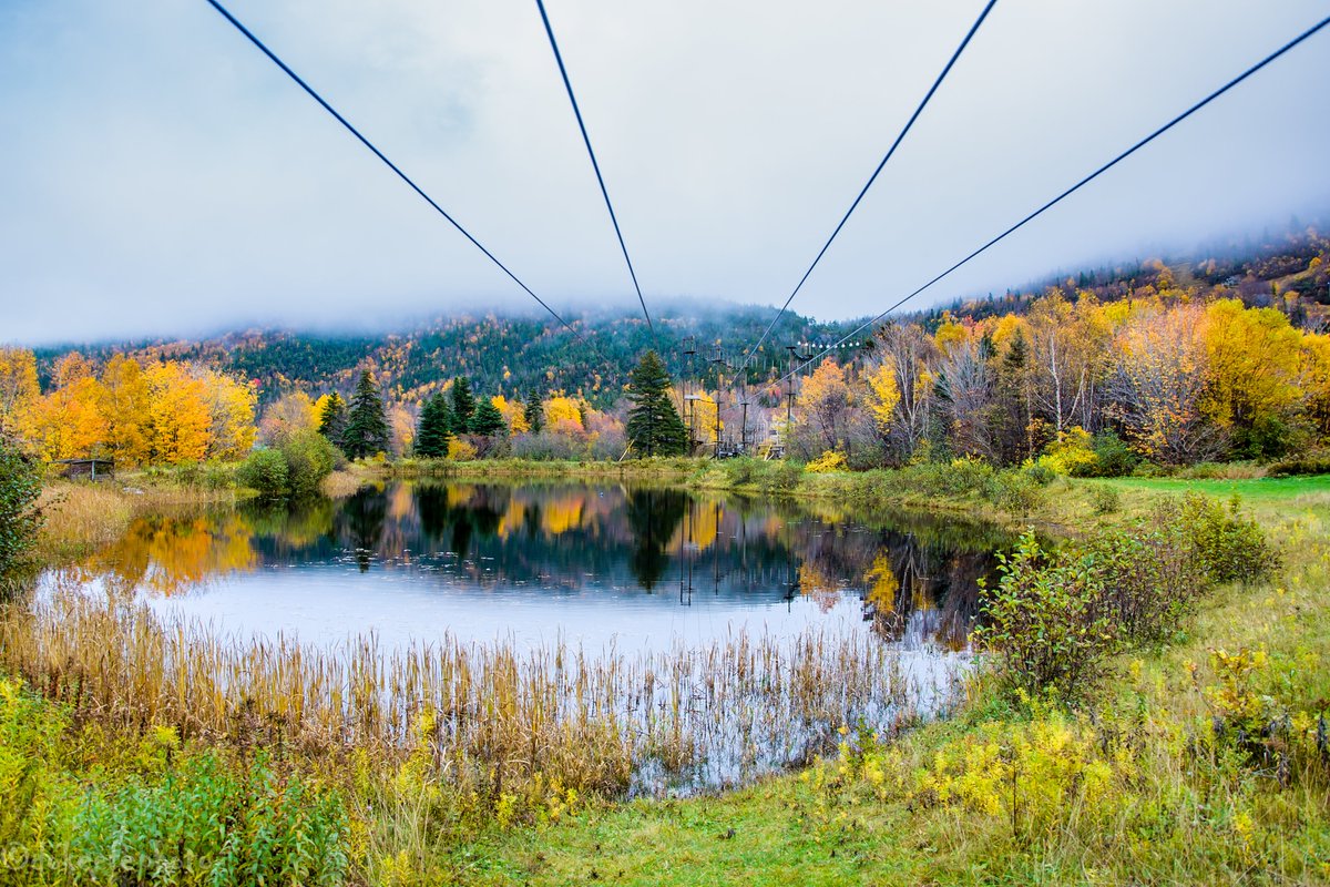 DonnieOK's tweet photo. Why not challenge yourself while on the West Coast? #steadybrook #cornerbrook #pasadena #deerlake #Spider #SpiderChallenge or #ZipLine @marbleziptours #reflections https://t.co/4C6Y7eZGgs