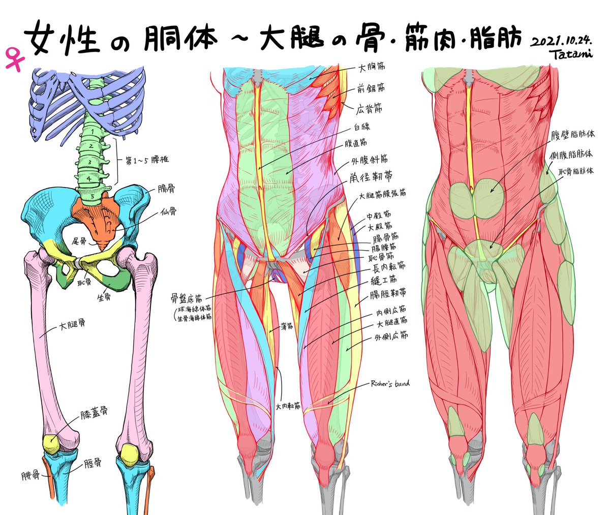 最近のイラスト勉強。10月は説明用の素材を作る月でした。 