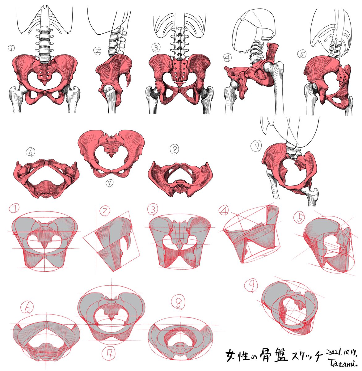 最近のイラスト勉強。10月は説明用の素材を作る月でした。 