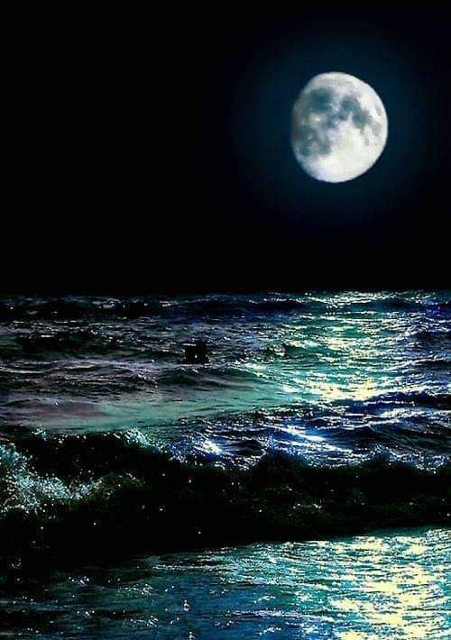 Sari_Friends1's tweet photo. ✿ Douce soirée à tous ♡✿♡ https://t.co/8hisslgnBp