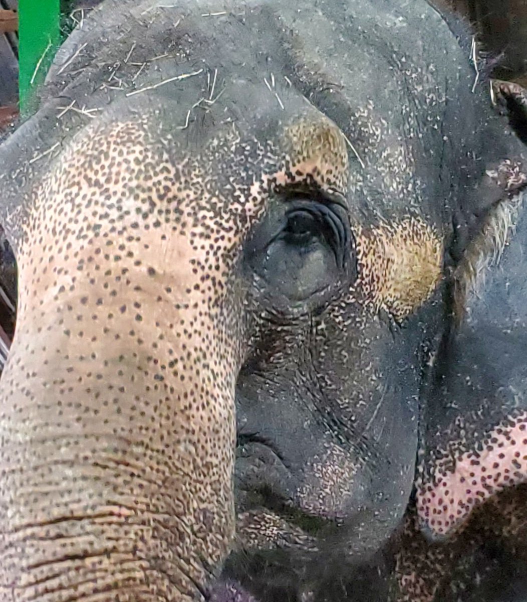 billeecox's tweet image. To say #imdisappointed in your #shallowattentionspan would be a #massiveunderstatement