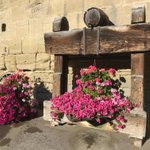 Alors que le mois d'octobre tire à sa fin, la décoration florale devant la belle ferme voisine de l'Abbaye de la Maigrauge (à Fribourg, Suisse) demeure resplendissante. 