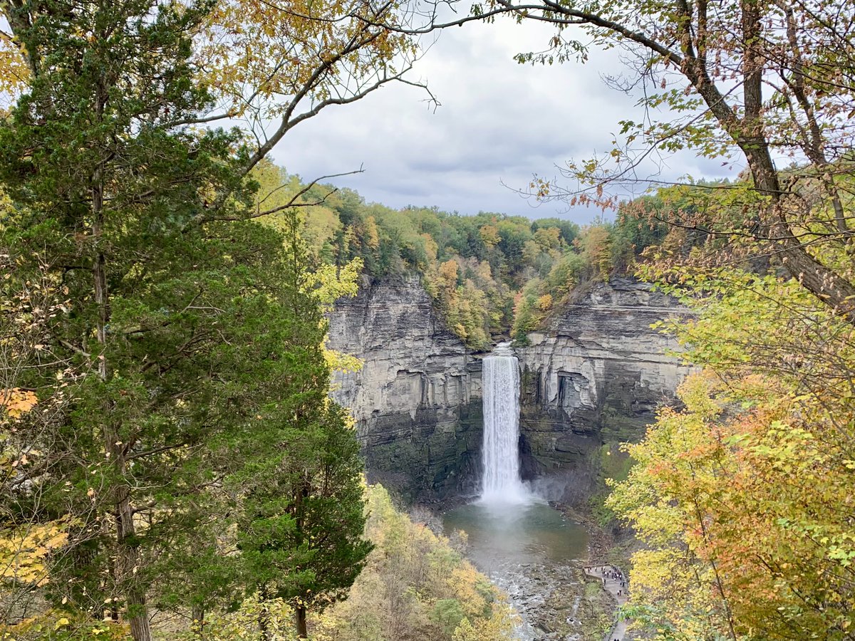JohnMoralesTV's tweet photo. Somehow @ariodzernbc6 and I managed to holiday in the same area at the same time, and failed to properly coordinate meeting up. But the #FingerLakes had plenty for all, as did my alma mater.
#GloriousToView #IthacaIsGorges #Cornell #Waterfall https://t.co/gfh1qqCM4H