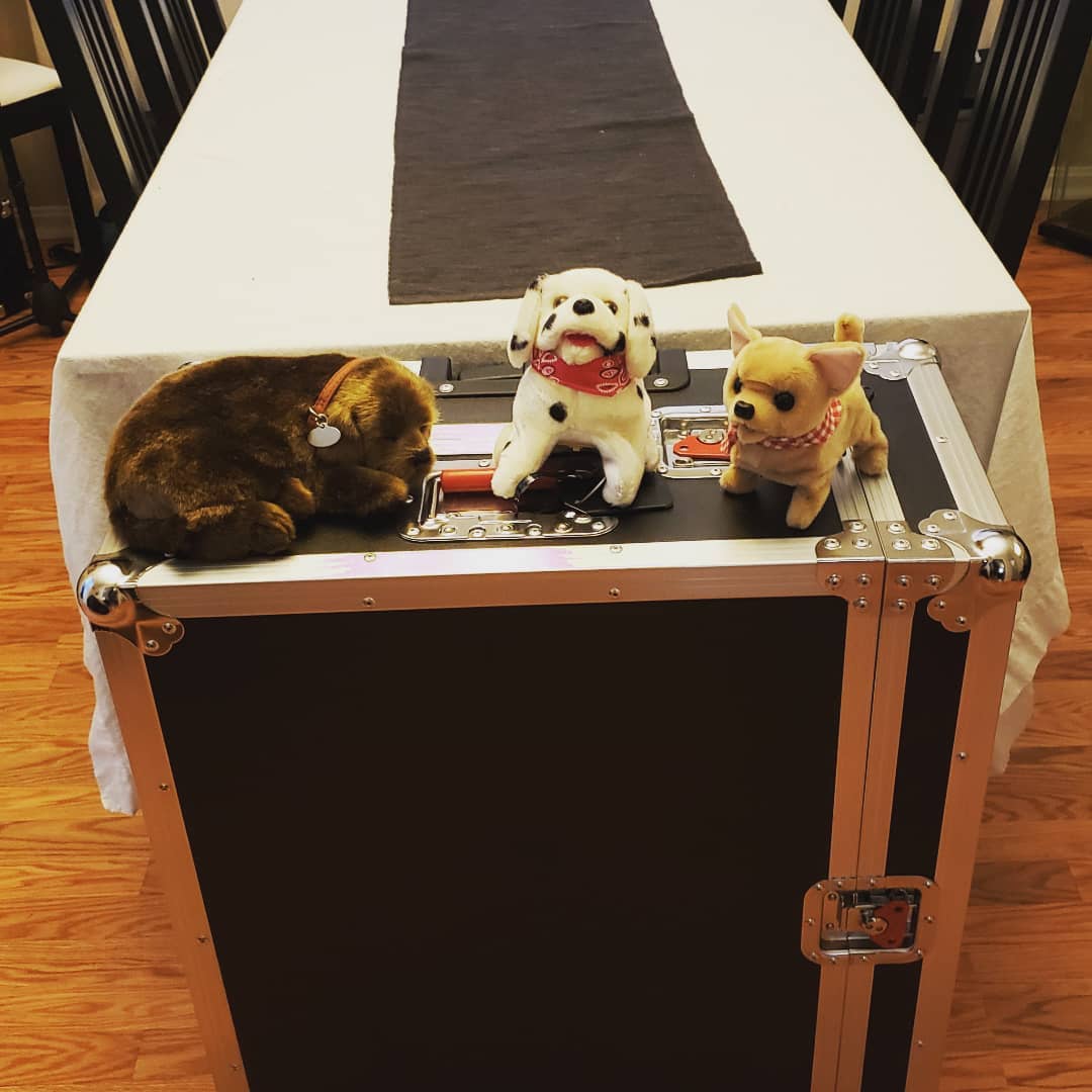 djsmark's tweet image. Studio is re-assembled (mostly)! Come vibe with some new melodic + organic house tunes on a beautiful Sunday... #twitchdjs #housemusic #livestream #twitchtv #twitchaffiliate #melodichouse #organichouse #edogs #plamp  twitch.tv/djsmark