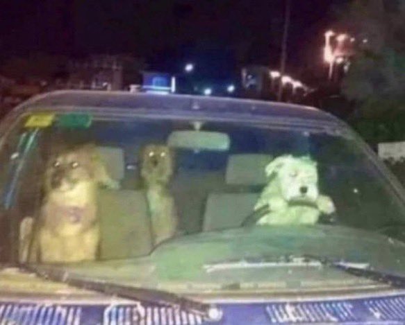 ResNeXtGuesser's tweet image. Image prediction: limousine
Confidence: 3.35%