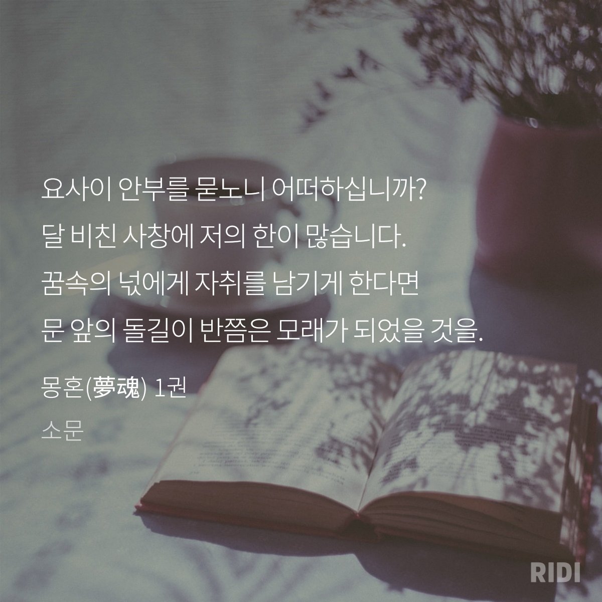 0ceanography's tweet photo. 믿고보는트친픽 https://t.co/Dj8NSQ5zJu