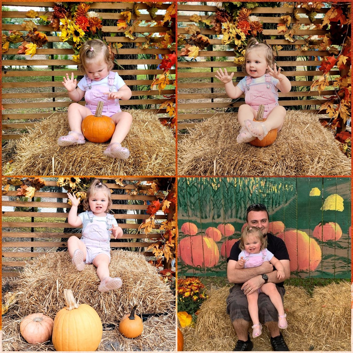 nick80drips's tweet photo. This little pumpkin 🎃 😍 #missmae #babyproof https://t.co/8eeVV0voue