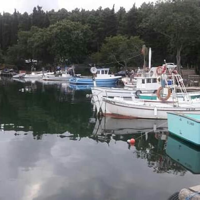 Ramazan Erkul (@ramazanerkul19) on Twitter photo 