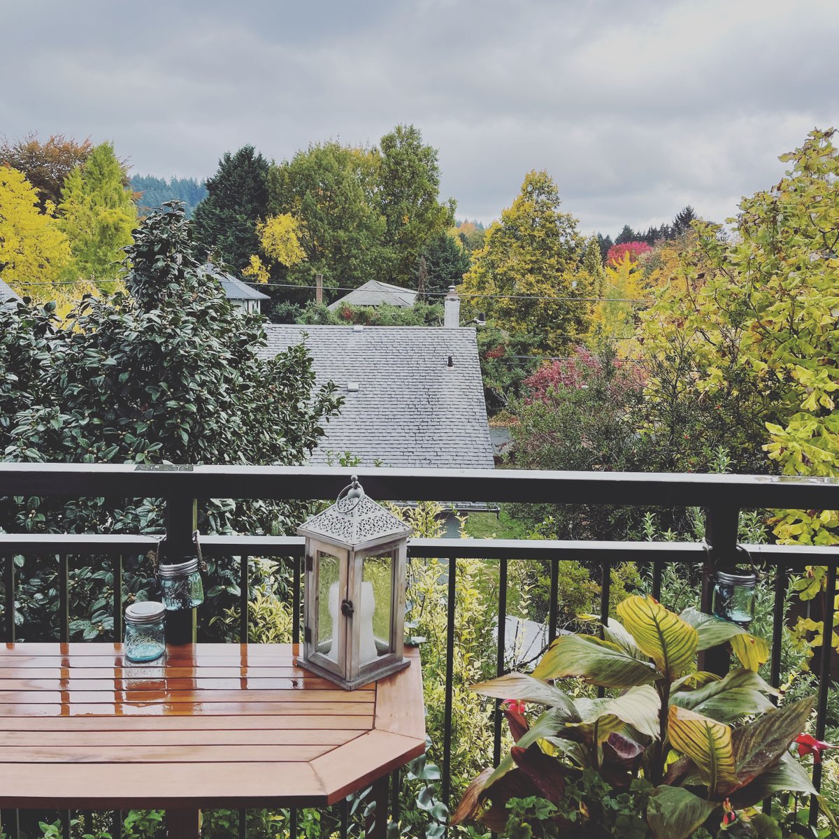 EthicalAbode's tweet photo. Starting to get some autumn colors 🥰🌱
#ethicalabode #autumnleaves #autumn #autumnvibes #autumncolors #fall #nature #leaves #naturephotography #fallcolors #october #photography #fallvibes #autumncolours #autumnmood #halloween #fallleaves #trees #ig #naturelovers #photooftheday https://t.co/q16f3cEs4I