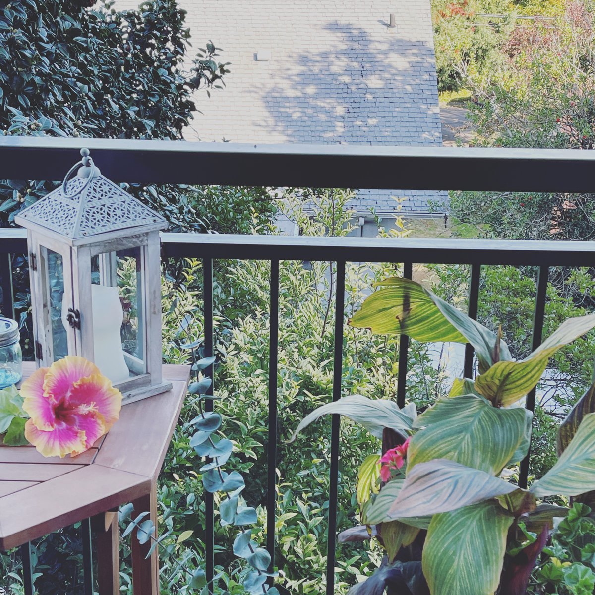 EthicalAbode's tweet photo. Beautiful fall views 🥰🌱
#ethicalabode #balconyview #balcony #balconydecor #balconylife #balconygarden #balconydesign #sunset #nature #balconygardening #homedecor #view #balconygoals #balconyideas #photography #balkon #sky #balconylove #love #plants #balconydecoration https://t.co/qMs4yzbOzU
